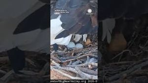 Video post by @accuweather on YouTube