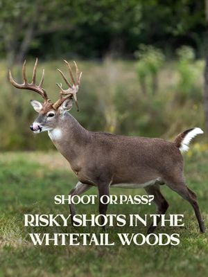 Image post by @realtreeoutdoors on Instagram