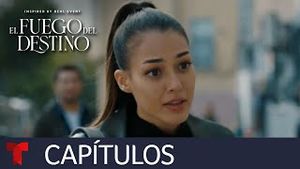 Video post by @telemundo on YouTube