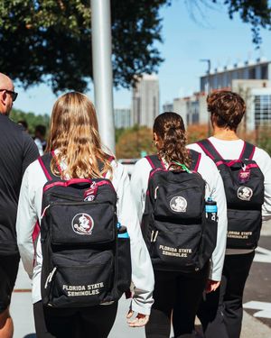 Image post by @fsuswimdive on Instagram