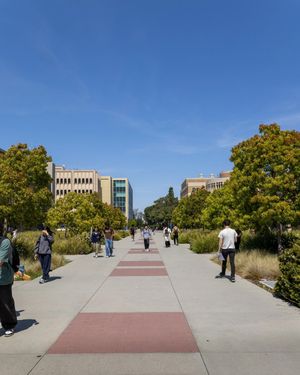 Image post by @ucirvine on Instagram