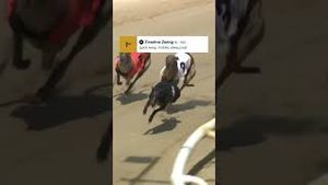 Video post by @skysportsfootball on YouTube