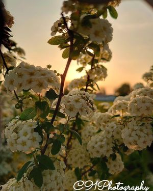 Image post by @c91photography on Instagram