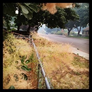 Image post by @bwstratt on Instagram