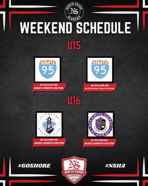 Image post by @nshockeyacademy on Instagram