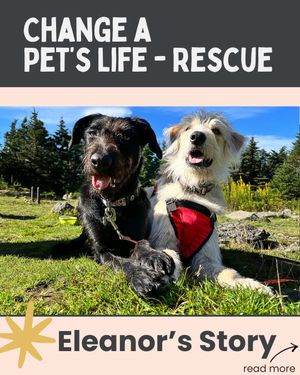 Image post by @farmtopet on Instagram