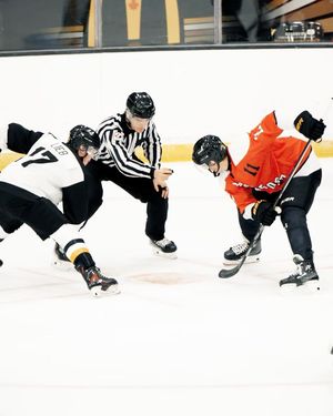 Image post by @bulldogsohl on Instagram