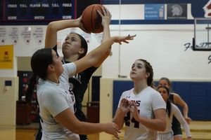 Image post by @laubhan.visuals on Instagram