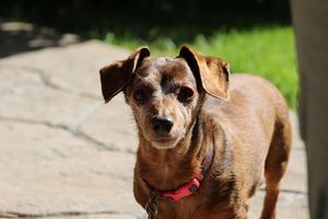 Image post by @the_ilee on Instagram