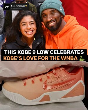 Image post by @soleretriever on Instagram