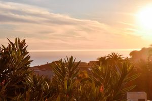 Image post by @pepperdinewaves on Instagram