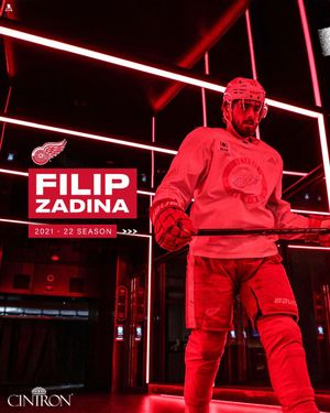 Image post by @detroitredwings on Instagram