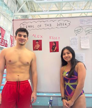 Image post by @terrierswimdive on Instagram