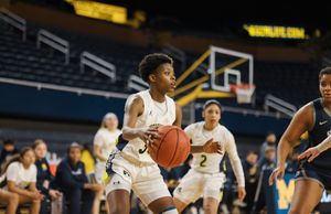 Image post by @UMDearbornWBB on Twitter