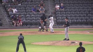 Video post by @fayettevillewoodpeckers on Facebook
