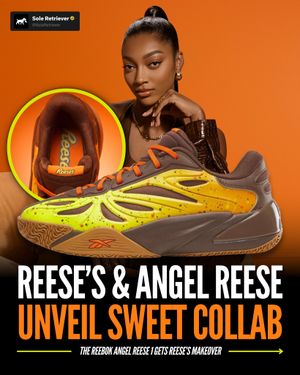 Image post by @soleretriever on Instagram