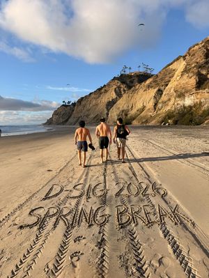 Image post by @deltasigsjsu on Instagram