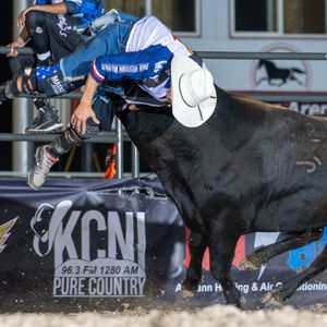 Image post by @ultimatebullfighters on Instagram
