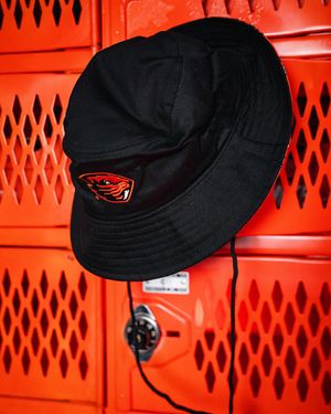 Image post by @beaverdam on Instagram