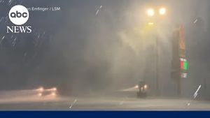 Video post by @abcnews on YouTube