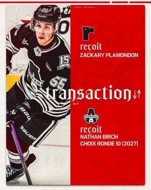 Image post by @quebec_remparts on Instagram