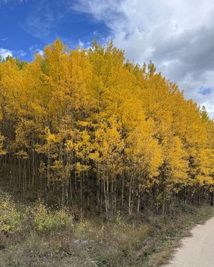 Image post by @9newsdenver on Instagram