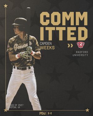 Image post by @pdgabaseball on Instagram
