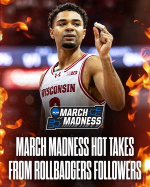 Image post by @rollbadgers on Instagram