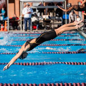Image post by @fsuswimdive on Instagram