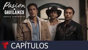 Video post by @telemundo on YouTube
