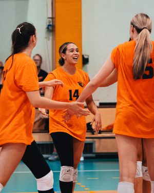 Image post by @beavervball on Instagram