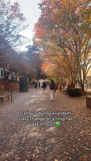 Image post by @unccharlotte on TikTok