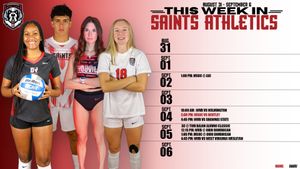 Image post by @dyouvillesaints on Instagram