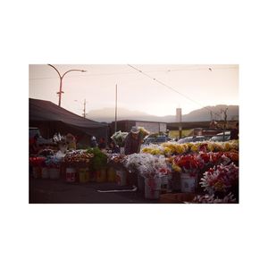 Image post by @documentandoenchanclas on Instagram