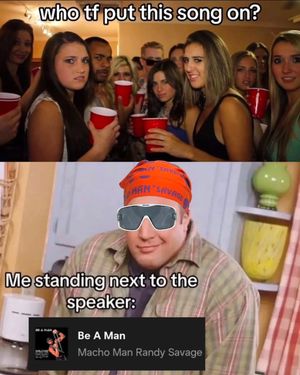 Image post by @themachoverse on Instagram
