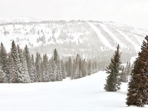 Image post by @pcski on Instagram