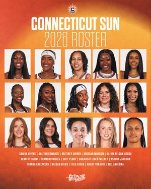 Image post by @ConnecticutSun on Twitter