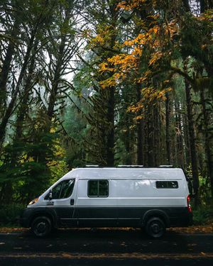 Image post by @shauns_shots on Instagram