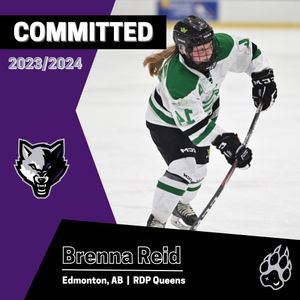 Image post by @yegjrwolves on Instagram