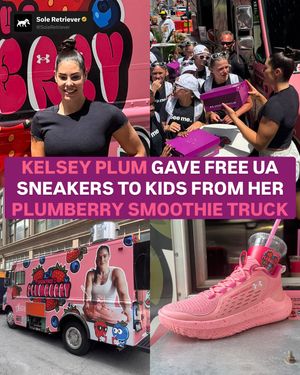 Image post by @soleretriever on Instagram
