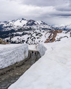 Image post by @whistlerblackcomb on Instagram
