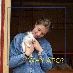 Image post by @apo.mu on Instagram