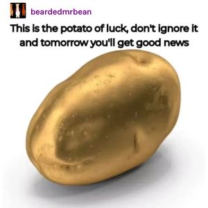Image post by @tumblr on Twitter