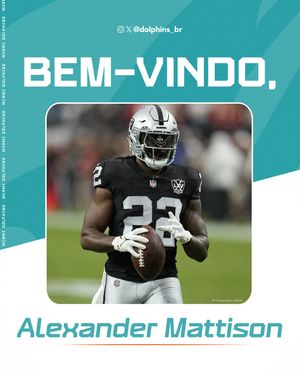 Image post by @dolphins_br on Instagram