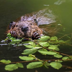 Image post by @nationalparkservice on Instagram