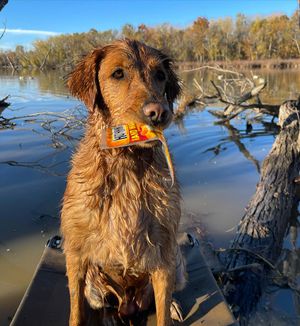 Image post by @calebknight13 on Instagram