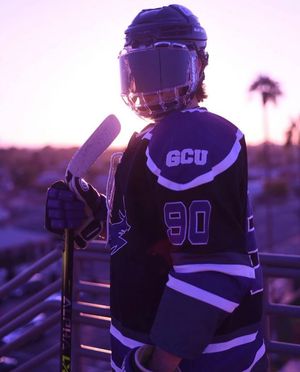 Image post by @collegehockeybuzz on Instagram