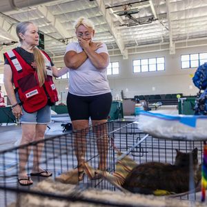 Image post by @americanredcross on Instagram