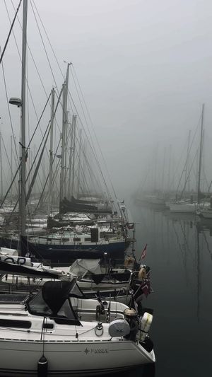 Video post by @sailing_with_phoenix on TikTok