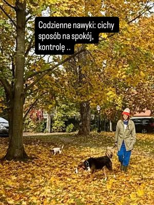 Image post by @anna_mo_anna on Instagram